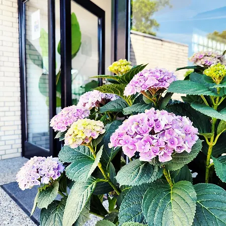 アパート Moderne 1 Mit Sonnenterrasse Und Parkplatz, In Ruhiger Lage, Nur Wenige Gehminuten Zum Ostsee Sandstrand